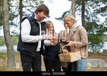 Familie mit zwei Kindern, sammeln von Pilzen Stockfoto