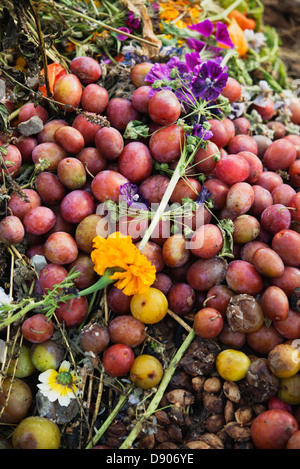 Haufen von Kompost mit faulen Pflaumen und Blumen an der Spitze Stockfoto