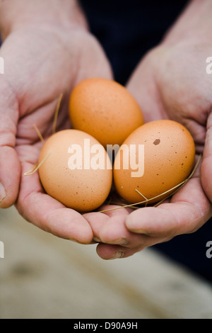 Mann mit Eiern in den Händen. Stockfoto