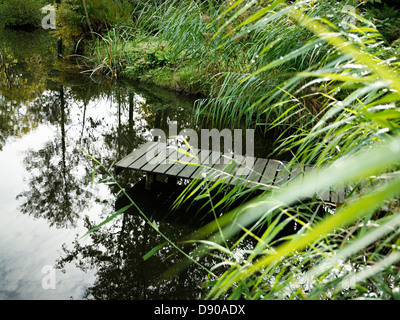 Ein Steg in einem Teich, Dänemark. Stockfoto