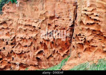 Einzigartige Formen auf eine Sandstein-Klippe erstellt von Wind-erosion Stockfoto