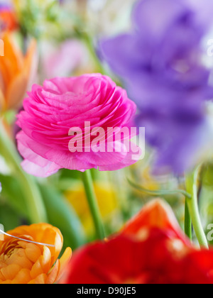 Blumenstrauß, Nahaufnahme Stockfoto