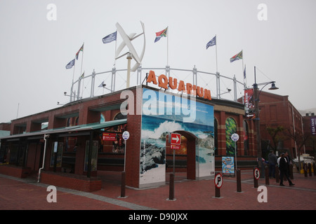 Kapstadt-Aquarium an der V & A Waterfront Stockfoto