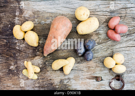 Vielzahl von Kartoffeln auf Holzmaserung Stockfoto