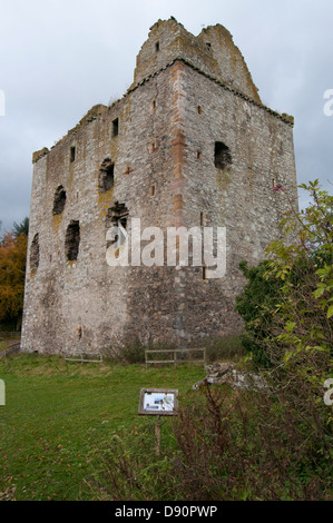 Newark Tower in der Nähe von Selkirk Stockfoto