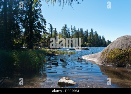 Štrbské Pleso, Slowakei Stockfoto