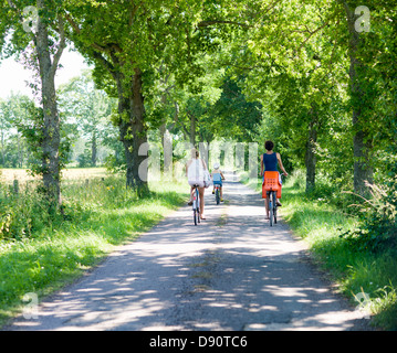 Mutter mit Töchtern Radfahren auf Landstraße Stockfoto