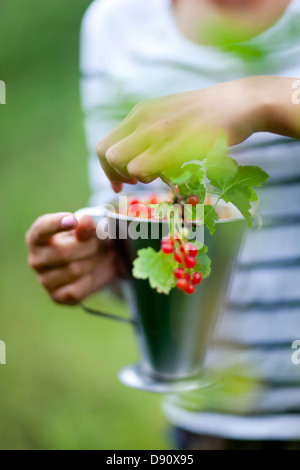 Mädchen hält Becher mit roten Johannisbeeren Zweig Stockfoto