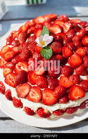 Erhöhte Ansicht Erdbeeren Kuchen Stockfoto