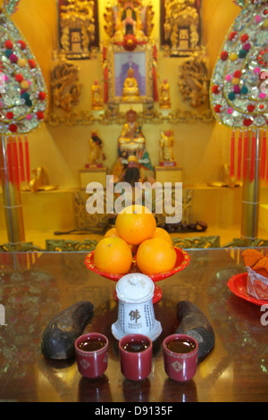 Singapur Thekchen Choling, tibetisch-buddhistischer Tempel, Organisation, Buddhismus, Religion, Detail, Orangen, Tee, Sing130131011 Stockfoto