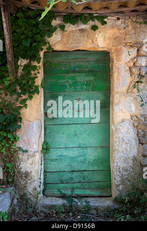Grüne Tür in Steinmauer Stockfoto