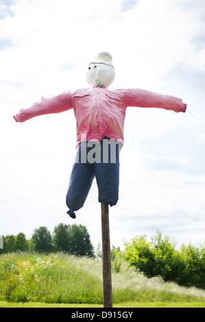 Traditionellen Vogelscheuche im Feld Stockfoto