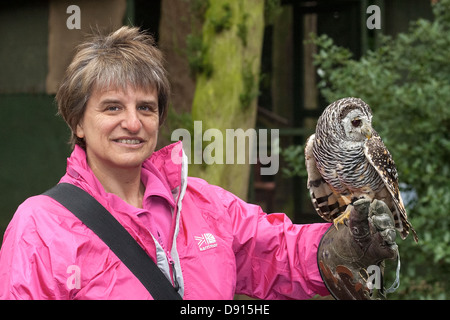 Argentinische Chaco-Eule, Strix chacoensis, Eule, die auf dem Arm der Frau ruht, Bird Conservation Farm, Großbritannien Stockfoto