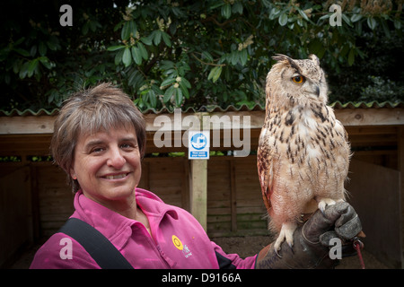 Kleine gehörnte Eule oder Magellansche gehörnte Eule, Bubo magellanicus, auf dem Arm der Frau ruhen, Bird Conservation Farm, Großbritannien Stockfoto