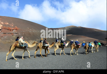 Lanzarote, Kamel reitet, Touristen genießen Kamel reiten auf Lanzarote, Kanarische Inseln Stockfoto