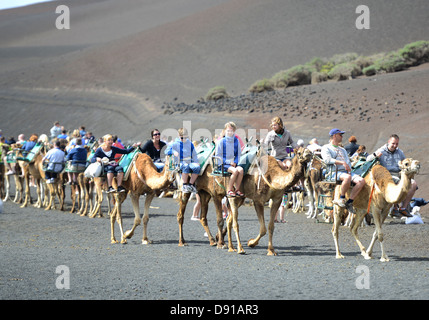 Lanzarote, Kamel reitet, Touristen genießen Kamel reiten auf Lanzarote, Kanarische Inseln Stockfoto