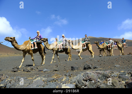 Lanzarote, Kamel reitet, Touristen genießen Kamel reiten auf Lanzarote, Kanarische Inseln Stockfoto