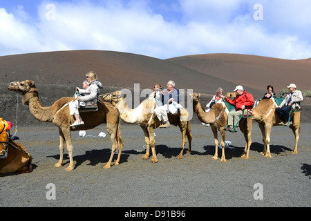 Lanzarote, Kamel reitet, Touristen genießen Kamel reiten auf Lanzarote, Kanarische Inseln Stockfoto