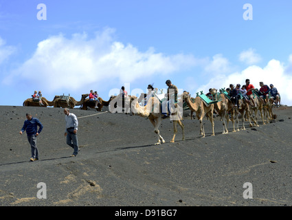 Lanzarote, Kamel reitet, Touristen genießen Kamel reiten auf Lanzarote, Kanarische Inseln Stockfoto