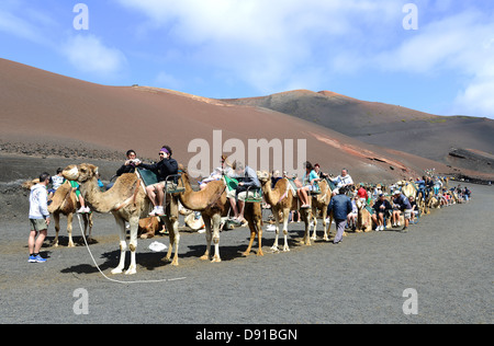 Lanzarote, Kamel reitet, Touristen genießen Kamel reiten auf Lanzarote, Kanarische Inseln Stockfoto