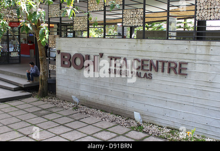 BOH Tee Plantage BOH Tea Centre, Sungei Palas in Cameron Highlands, Malaysia Stockfoto
