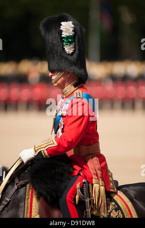 Westminster, London, UK. 8. Juni 2013.  Die Farbe des 1. Bataillons Welsh Guards ist in Anwesenheit von HRH The Prince Of Wales, gesehen hier marschierten. Es gibt mehr als 200 Pferde auf Parade, und mehr als 400 Musiker aus allen den Haushalt Division Bands & Korps der Trommeln.  Bildnachweis: Malcolm Park/Alamy Live-Nachrichten Stockfoto