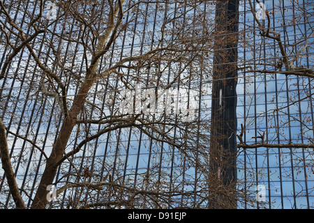 Zeitgenössische Gebäude Glas-Fassade und Baum Zweige. Abstrakte Architekturdetail. Stockfoto