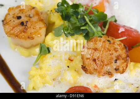 Safran-Risotto mit gegrillten Jakobsmuscheln und Cherry-Tomaten-sauce Stockfoto