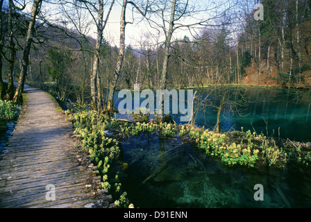 Eine hölzerne Weg in Plitvice Lakes National Park ein UNESCO-Weltkulturerbe in Lika-Senj County Kroatien Stockfoto