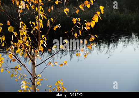 Herbstabend, Ukraine Stockfoto