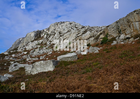 Der höchste Punkt auf Anglesey, beliebt bei Wanderern und Bergsteigern Stockfoto