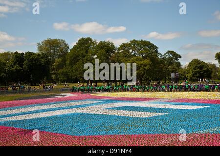 London, UK. Samstag, 8. Juni 2013 The Big wenn Installation von 250.000 Kunstblumen im Hyde Park. Bildnachweis: Nelson Pereira/Alamy Live News Stockfoto