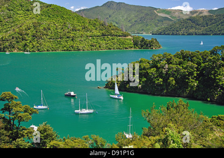 Whenuanui Bucht von Queen Charlotte Drive, Queen Charlotte Sound, Marlborough Sounds, Marlborough, Südinsel, Neuseeland Stockfoto