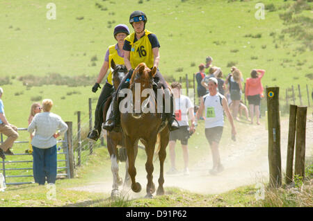 Llanwrtyd Wells, UK. 8. Juni 2013. Über 400 Läufer konkurrieren gegen 65 Pferde in den Mann V Pferd 23 Meile Marathon, zermürbenden bergigen Gelände. Das Ereignis wurde von Gordon Green in seinem Pub Neuadd Arms 1980 bei einem Gespräch belauscht konzipiert, ob ein Mann ein Pferd Rennen querfeldein über Distanz gleich war. Das Preisgeld für den Sieg gegen ein Pferd wurde jedes Jahr von £1.000 gesteigert, bis Huw Lobb £25.000 in 2004 gegen das erste Pferd von 2 Minuten mit einer Zeit von 02:05:19 gewann. Bildnachweis: Graham M. Lawrence/Alamy Live-Nachrichten. Stockfoto