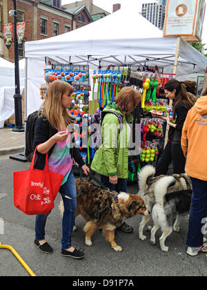 Toronto, Kanada, 8. Juni 2013. Hunde und Besitzer 10. Jubiläums Woofstock 2013 im freien Hundefest in der Front Street in St. Lawrence Market Nachbarschaft genießen. Bildnachweis: Elena Elisseeva/Alamy Live-Nachrichten Stockfoto