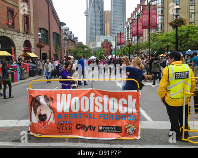 Toronto, Kanada, 8. Juni 2013. Hunde und Besitzer 10. Jubiläums Woofstock 2013 im freien Hundefest in der Front Street in St. Lawrence Market Nachbarschaft genießen. Bildnachweis: Elena Elisseeva/Alamy Live-Nachrichten Stockfoto