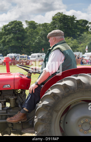 Reifer Mann in der traditionellen Landwirtschaft Kleidung fahren einen Oldtimer Massey Ferguson-Traktor bei Heskin Hall Steam Fair 2013. Stockfoto