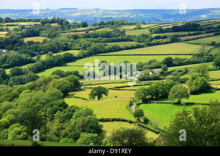 Landschaft in Towy Tal Llandeilo Carmarthenshire Wales Stockfoto