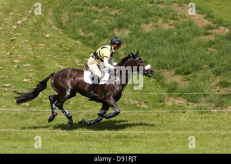 Leeds Braham UK. 8. Juni 2013. Pferd erreicht Geschwindigkeiten von bis zu 30 km/h während der Langlauf-Veranstaltung bei den 40. Braham Horse Trials. Bildnachweis: S D Schofield/Alamy Live-Nachrichten Stockfoto