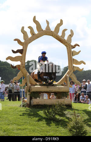 Leeds Braham UK. 8. Juni 2013. Massen-Uhr auf zu Carter Jonas gesponsert Sprung während der 40. Braham Pferd Versuche. Bildnachweis: S D Schofield/Alamy Live-Nachrichten Stockfoto