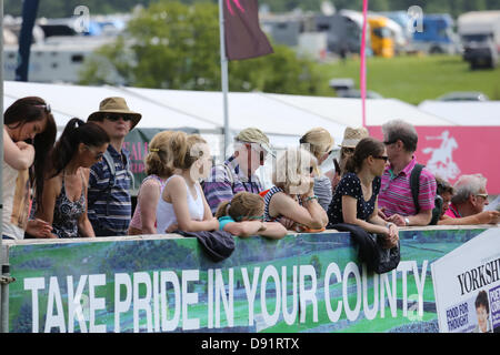 Leeds Braham UK. 8. Juni 2013. Menschenmassen genießen Sie die Sonne während des dritten Tages Ereignisse bei den 40. Braham Horse Trials. Bildnachweis: S D Schofield/Alamy Live-Nachrichten Stockfoto