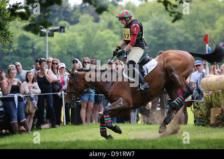 Leeds Braham UK. 8. Juni 2013. Massen auf während der Langlauf-Veranstaltung bei den 40. Braham Horse Trials ansehen. Bildnachweis: S D Schofield/Alamy Live-Nachrichten Stockfoto