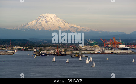 Ein Abend-Boot-Rennen wird auf dem Wasser des Puget Sound Tacoma Washington durchgeführt. Stockfoto