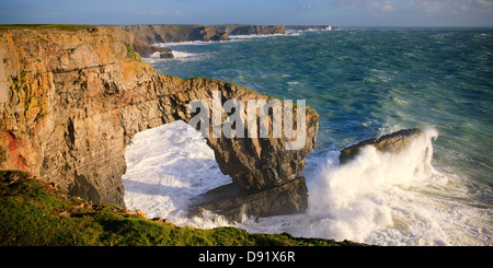 Grüne Brücke von Wales St Govans Landzunge Pembrokeshire Wales Stockfoto