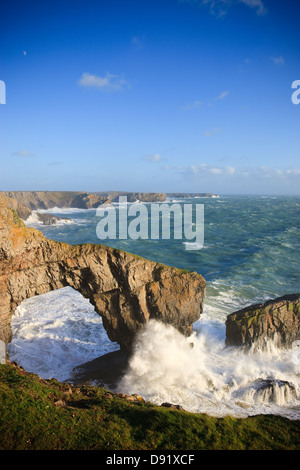 Grüne Brücke von Wales St Govans Landzunge Pembrokeshire Wales Stockfoto