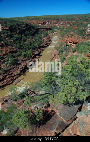 Murchison River fließt durch rote Felsschlucht an der Z-Biegung, Kalbarri National Park, Western Australia Stockfoto