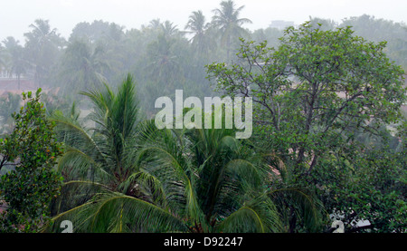 Monsun in kerala Stockfoto