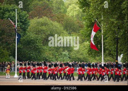 Westminster, London, UK. 8. Juni 2013. Die Farbe des 1. Bataillons Welsh Guards ist in Anwesenheit von HRH The Prince Of Wales marschierten. Es gibt mehr als 200 Pferde auf Parade, und mehr als 400 Musiker aus allen den Haushalt Division Bands & Korps der Trommeln. Stockfoto