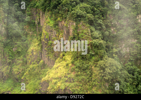 Barron Schlucht Landschaft in der Nähe von Cairns, Far North Queensland, Australien Stockfoto