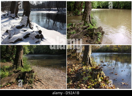 Vier Jahreszeiten-Sequenz derselben Ahorn Baumwurzel am Flussufer im Winter, Frühling, Sommer, Herbst, Little Miami River in Ohio Stockfoto